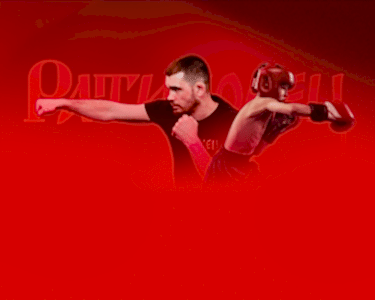 баннер3-1